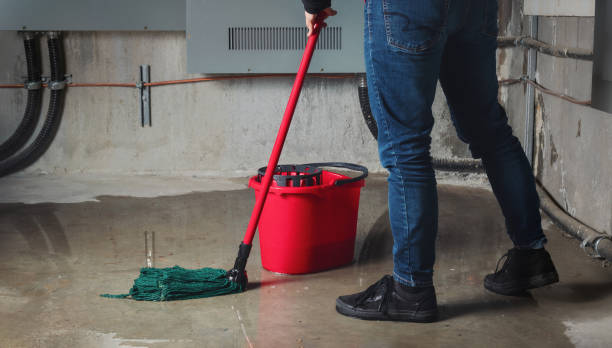 Best Mold removal after water damage  in Fairfield Beach, OH