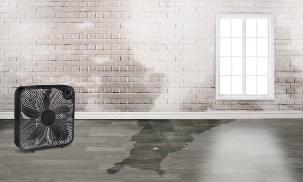 Best Ceiling water damage repair  in Fairfield Beach, OH
