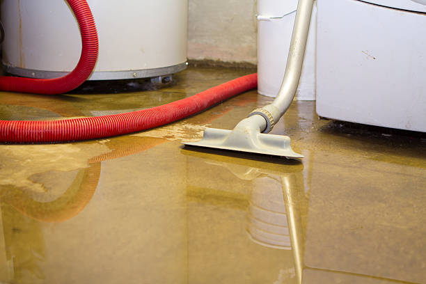 Best 24-hour water damage restoration  in Fairfield Beach, OH