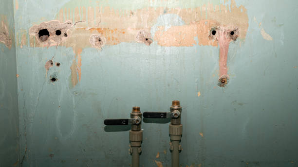 Best 24/7 water damage repair  in Fairfield Beach, OH