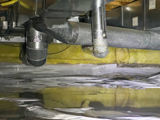 Best Water damage cleanup near me  in Fairfield Beach, OH